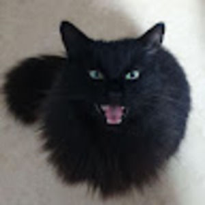 Meet your Posher, Alexa